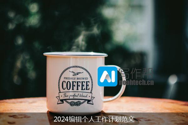 2024编辑个人工作计划范文