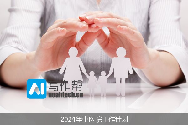 2024年中医院工作计划