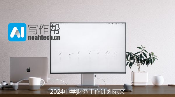 2024中学财务工作计划范文