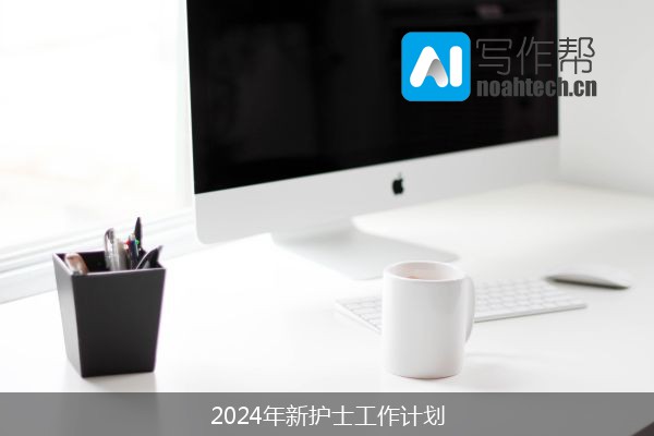 2024年新护士工作计划