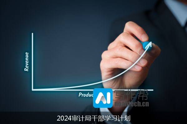 2024审计局干部学习计划