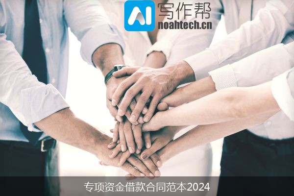 专项资金借款合同范本2024