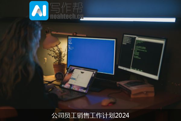 公司员工销售工作计划2024