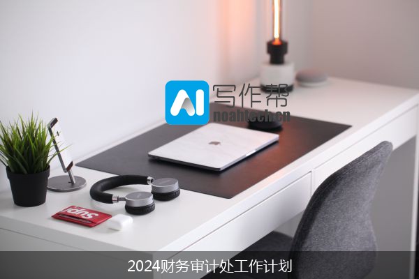 2024财务审计处工作计划