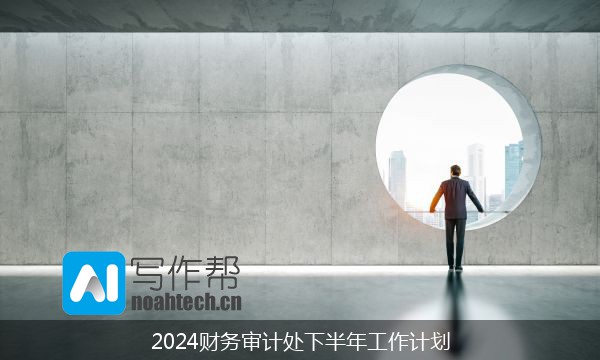 2024财务审计处下半年工作计划