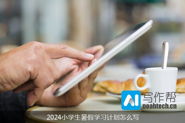 2024小学生暑假学习计划怎么写